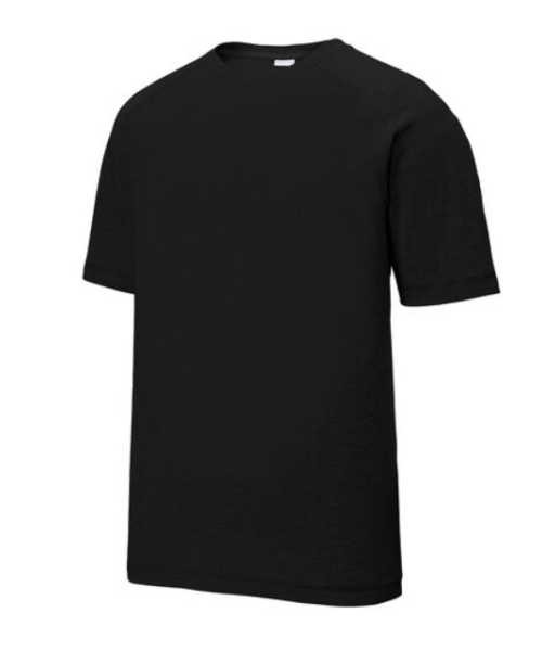 men's raglan short sleeve t-shirt sport tek