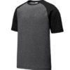 men's raglan short sleeve t-shirt sport tek