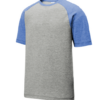 men's raglan short sleeve t-shirt sport tek