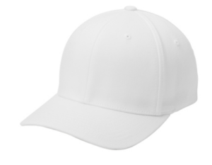 port authority flexfit cap