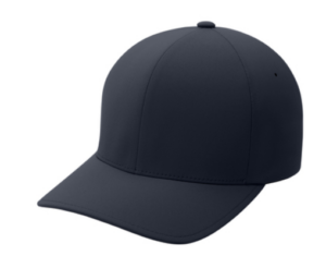 flexfit cap