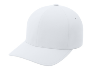 flexfit cap